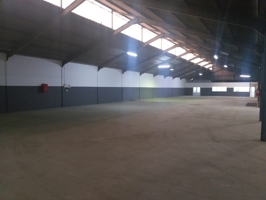 To Let Commercial Property for Rent in Airport Industria Western Cape